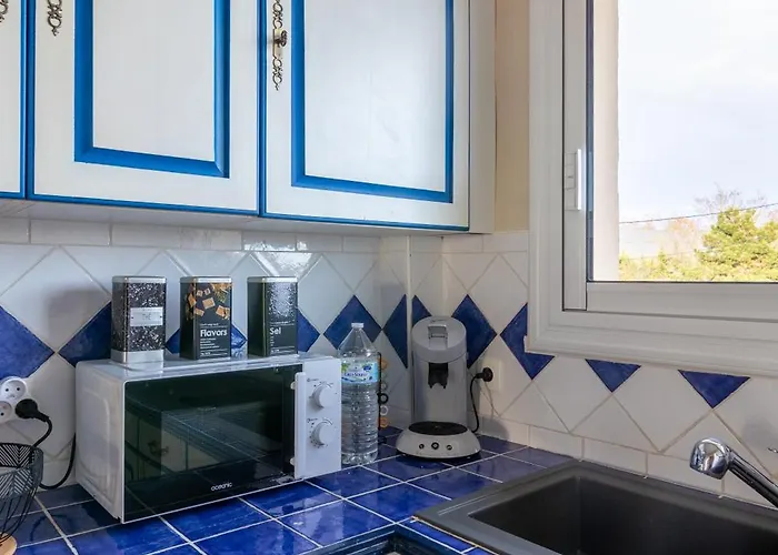 Lesaumurtranquille - Les Vioiettes *